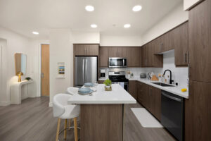 fully furnished kitchen area-1