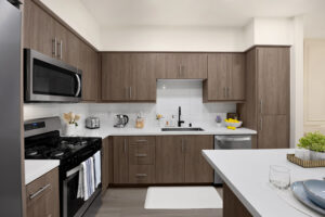 fully furnished kitchen area-2