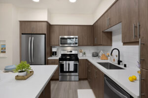 fully furnished kitchen area-3