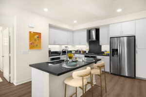 modern fully furnished kitchen7