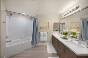 fully furnished bathroom in clara