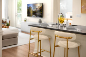 Open area kitchen with modern feature-7