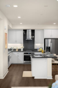 modern fully furnished kitchen3